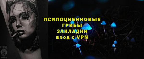 стафф Белокуриха