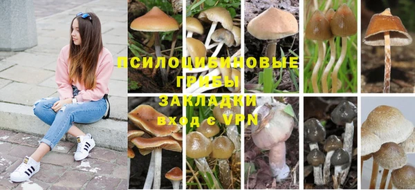 сатива Белоозёрский