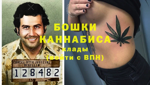 ГАЛЛЮЦИНОГЕННЫЕ ГРИБЫ Беломорск