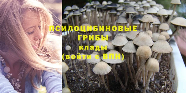 стафф Белокуриха