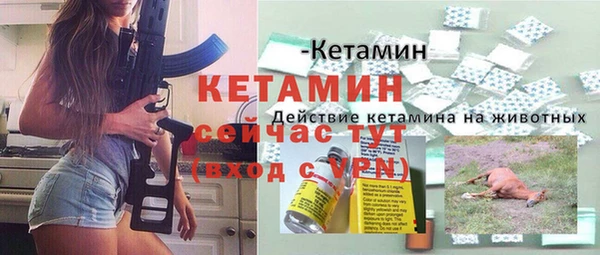 сатива Белоозёрский