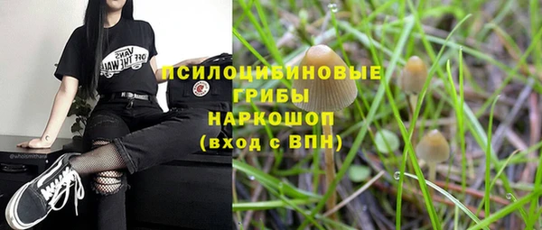 сатива Белоозёрский