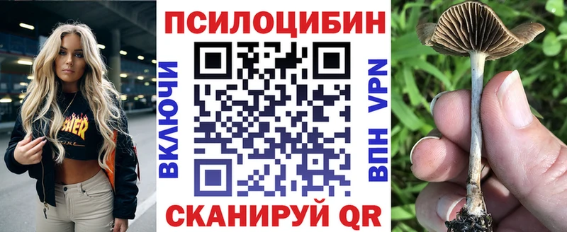 Псилоцибиновые грибы Magic Shrooms  Вичуга 